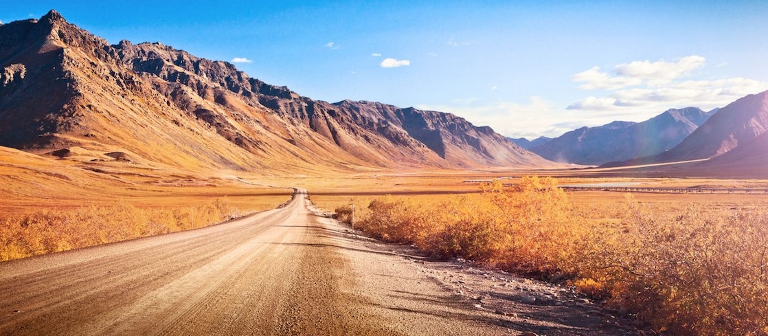 Camino en medio de un desierto, con vegetación típica y montañas de fondo