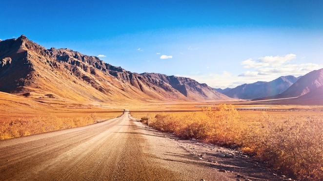 Camino en medio de un desierto, con vegetación típica y montañas de fondo