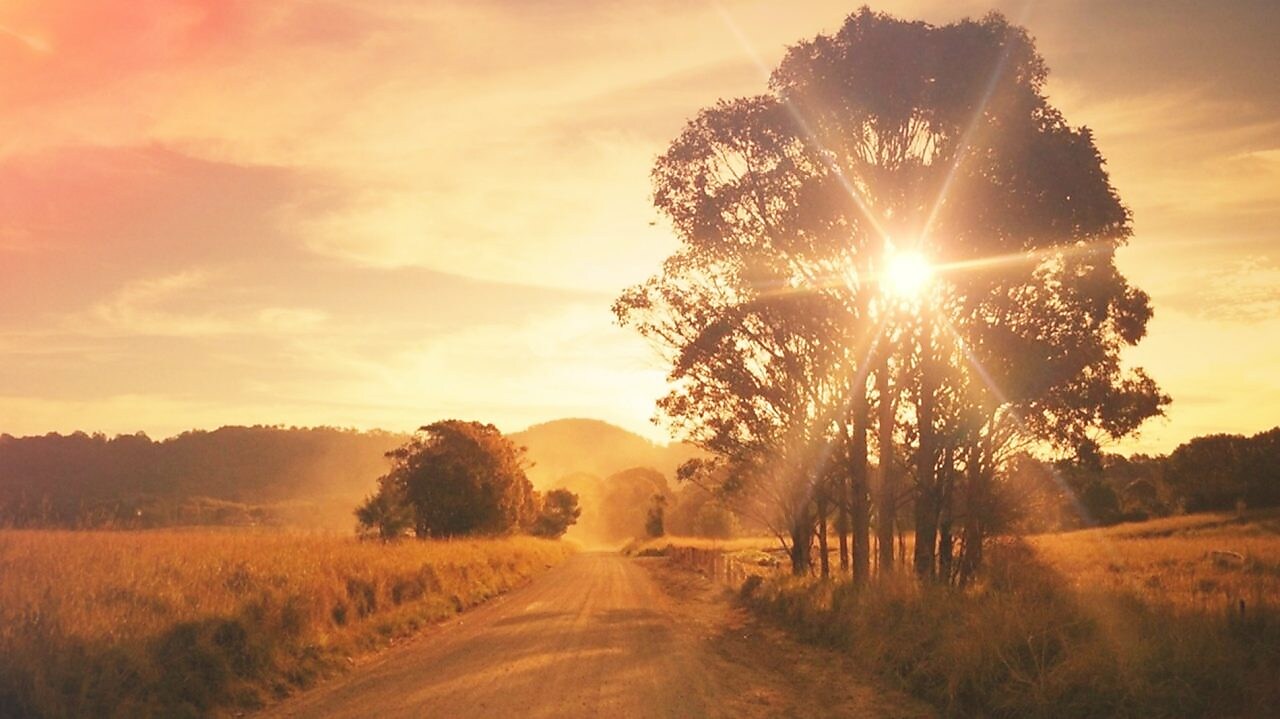 Ruta Stuart, Australia