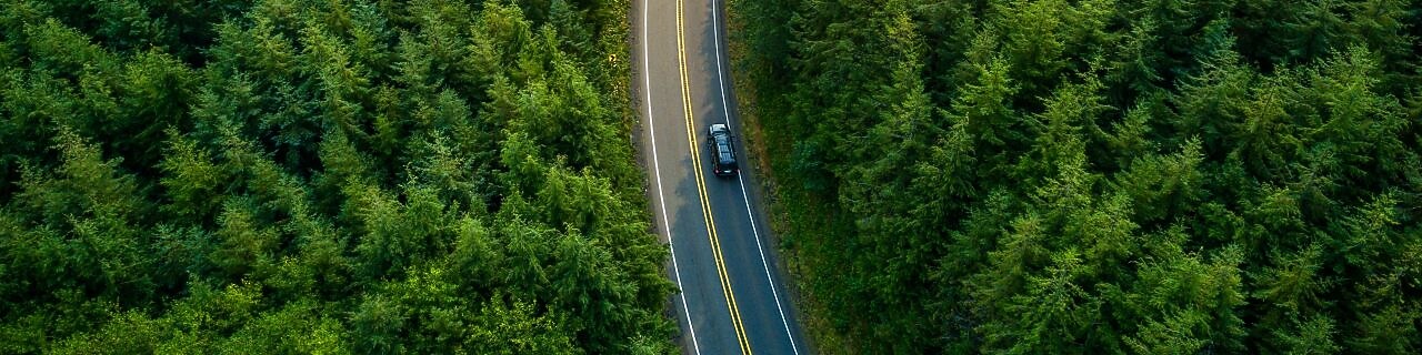 Pista de coches en medio de un bosque con un solo coche en movimiento