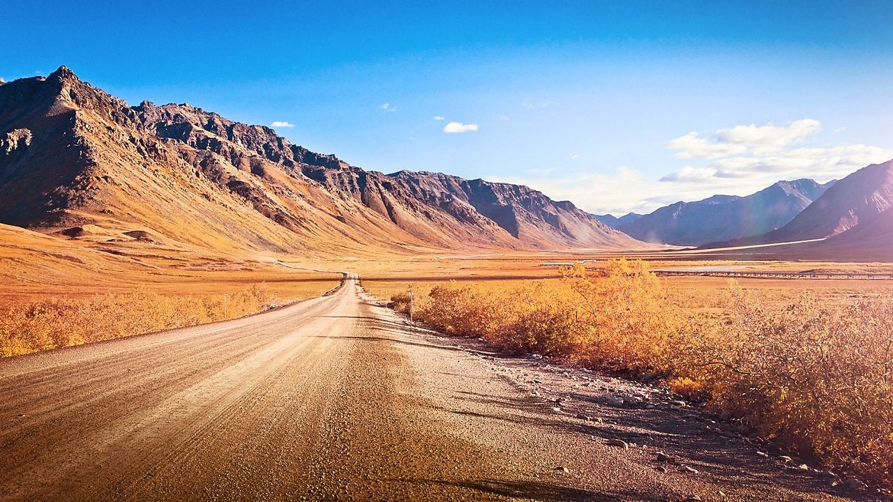 Camino en medio de un desierto, con vegetación típica y montañas de fondo